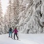 Unterduermoos Mit Chalet-charme Auf 1050 M , Alleinlage * Аннаберг-им-Ламмерталь