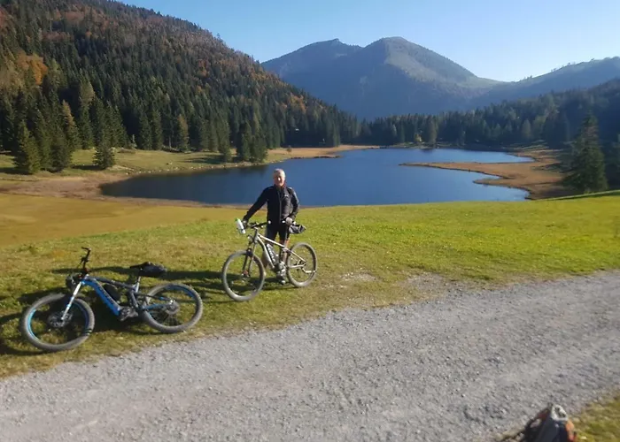 Ferienwohnungen Unterduermoos Apartments Mit Chalet-Charme Auf 1050 M , Alleinlage Annaberg im Lammertal